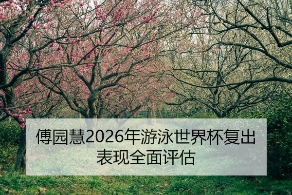 fu-yuan-hui-nian-you-yong-shi-jie-bei-fu-chu-biao-xian-quan-mian-ping-gu-2-510.jpg