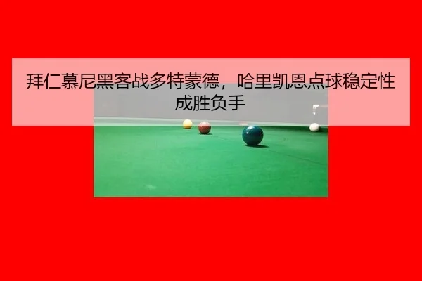 bai-ren-mu-ni-hei-ke-zhan-duo-te-meng-de-ha-li-kai-en-dian-qiu-wen-ding-xing-cheng-sheng-fu-shou-3-286.jpg