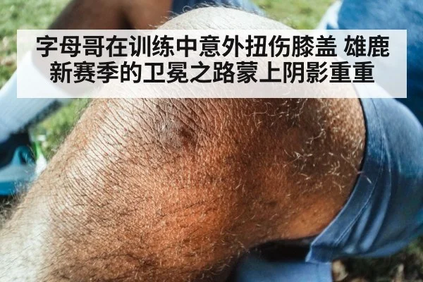 字母哥在训练中意外扭伤膝盖 雄鹿新赛季的卫冕之路蒙上阴影重重